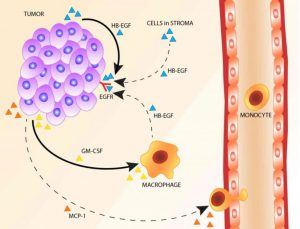 Công dụng tuyệt vời của Nano EGF